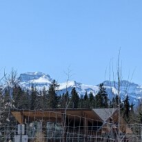 PXL_20250502_212458515