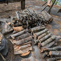 PXL_20250817_185814293.MP