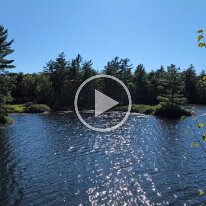 PXL_20250817_210138298.LS~2