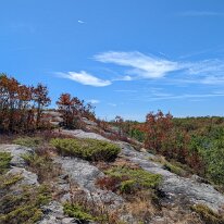 PXL_20250818_170237332.MP