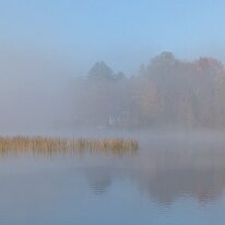 PXL_20251012_125907055.MP