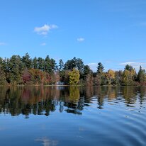 PXL_20251014_181322064.MP