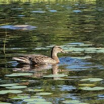 PXL_20250815_135401970.MP~2