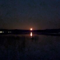 PXL_20250901_031054657.NIGHT