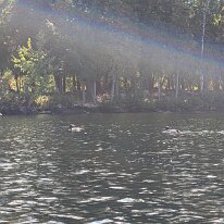 PXL_20250920_164434402.MP