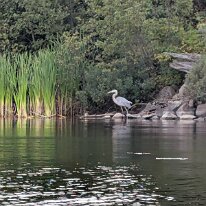 PXL_20250827_213122138.MP