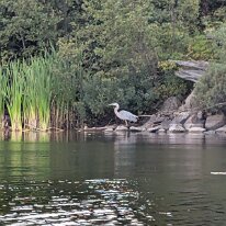 PXL_20250827_213124480.MP