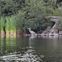 PXL_20250827_213127314.MP