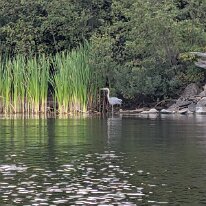 PXL_20250827_213133915.MP