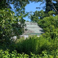 PXL_20250715_202542761.MP