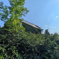 PXL_20250715_202633801.MP