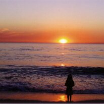 Zoe Florida sunset scan 2