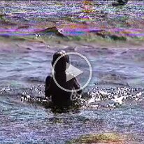 Caitlin baby Ingrams Maxners cottage bunkie