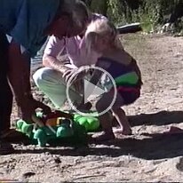 Caitlin beach cottage