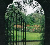 snipshot_e41cbcmv3pdv.jpg